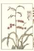 photo74_small.jpg