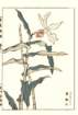 photo75_small.jpg