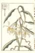 photo76_small.jpg