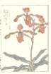 photo77_small.jpg