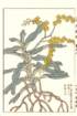 photo78_small.jpg