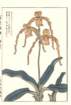 photo79_small.jpg