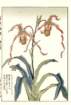 photo7_small.jpg