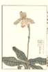 photo80_small.jpg