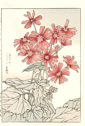 photo81.jpg