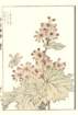 photo85_small.jpg