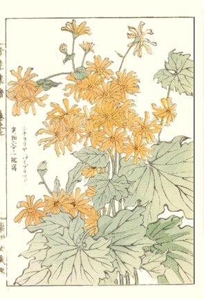 photo87.jpg