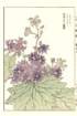 photo88_small.jpg