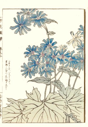 photo89.jpg