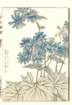 photo89_small.jpg
