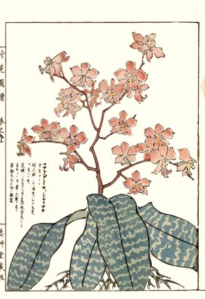 photo9.jpg