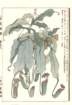 photo91_small.jpg