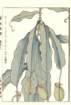 photo93_small.jpg
