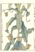 photo94_small.jpg