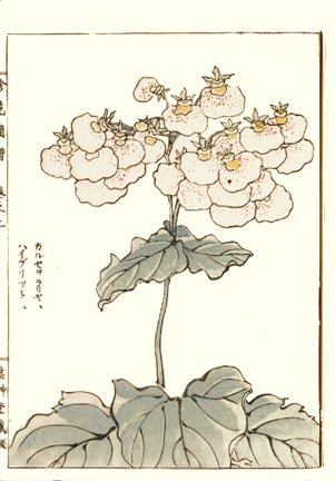photo97.jpg
