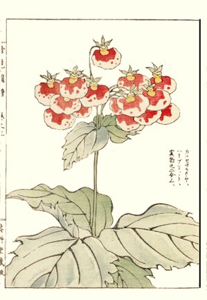 photo99.jpg