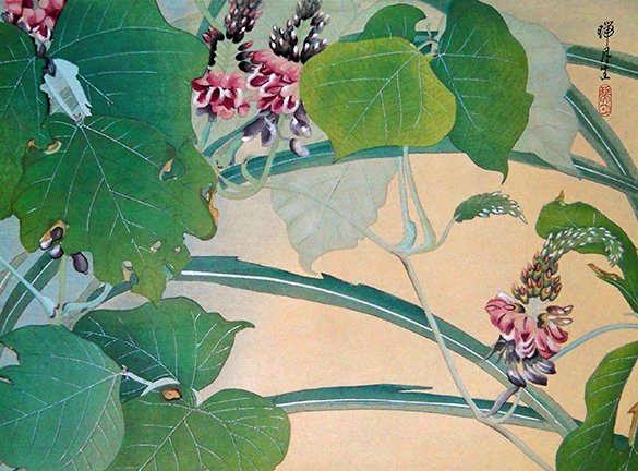 photo39.jpg