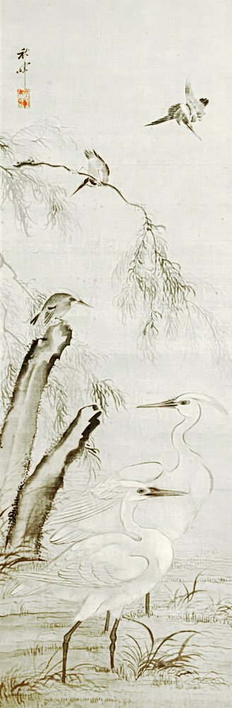 photo3.jpg