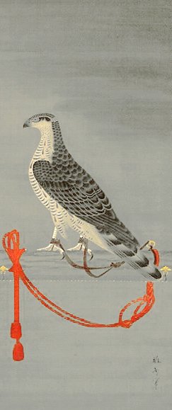 photo8.jpg