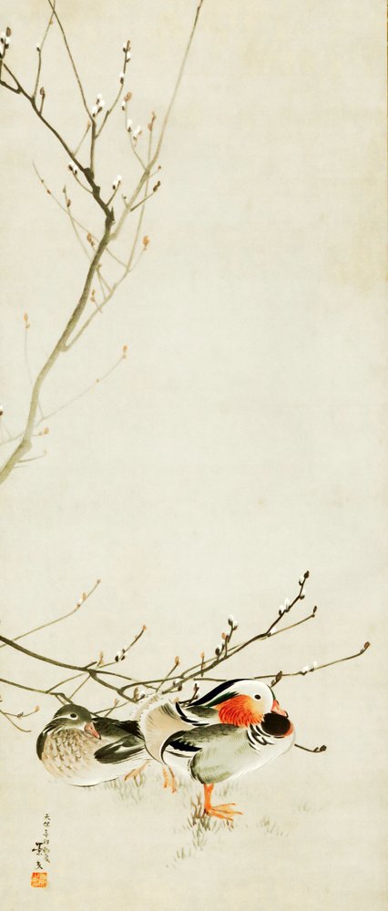photo19.jpg