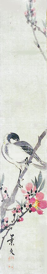 photo25.jpg