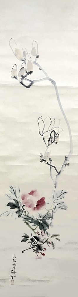 photo47.jpg
