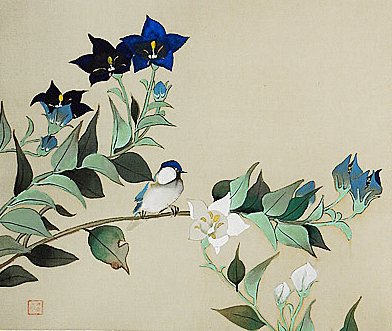 photo7.jpg
