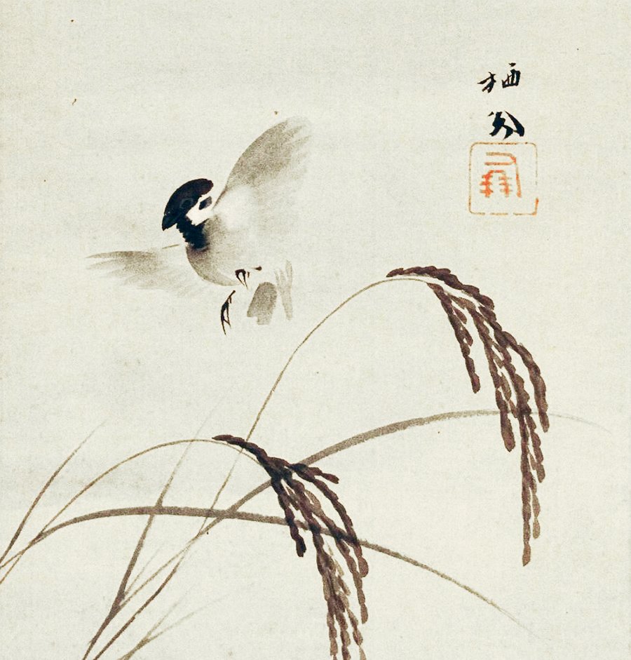 photo24.jpg
