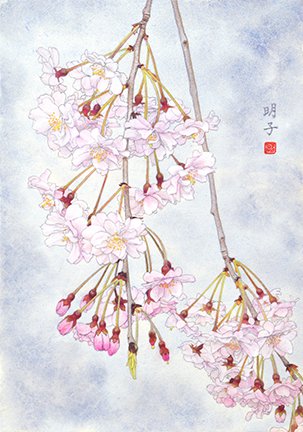 photo12.jpg