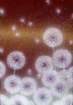 photo13_small.jpg