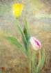 photo123_small.jpg