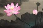 photo26_small.jpg