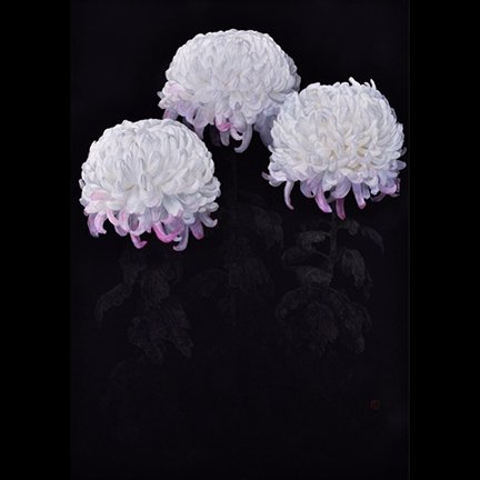 photo7.jpg