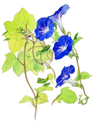 photo27.jpg