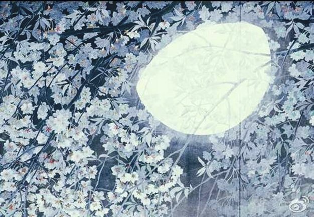 photo5.jpg