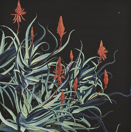 photo4.jpg