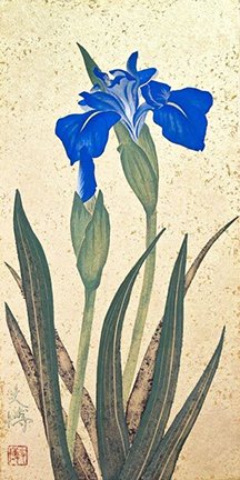 photo6.jpg