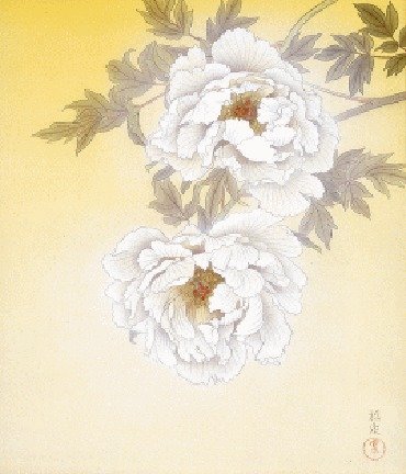 photo24.jpg