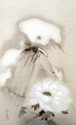 photo27.jpg