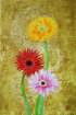 photo47_small.jpg
