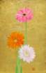 photo48_small.jpg