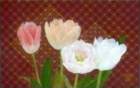 photo98_small.jpg