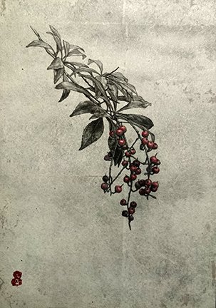 photo13.jpg