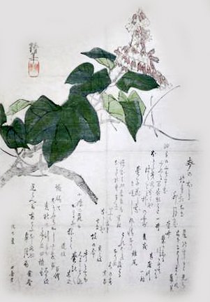 photo34.jpg
