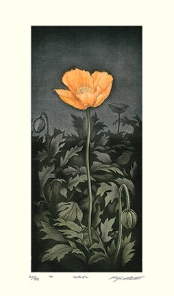 photo82.jpg