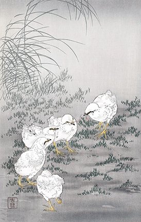 photo87.jpg