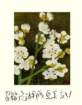 photo70_small.jpg