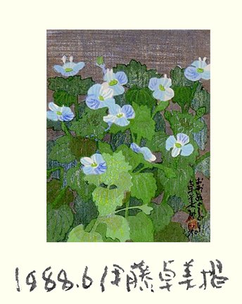 photo71.jpg