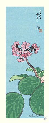 photo72.jpg
