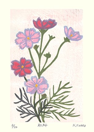 photo16.jpg